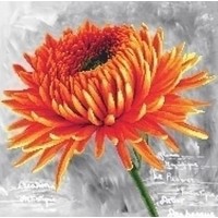 Voorbedrukt borduurpakket Orange Dahlia nc450-017
