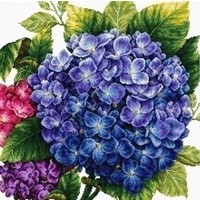 Voorbedrukt borduurpakket Hydranger 640.088
