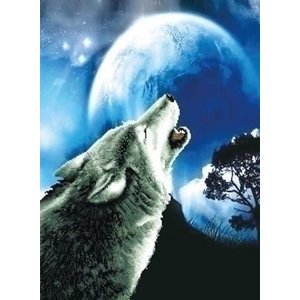 Needleart Needleart borduurpakket Howling Wolf 650.027