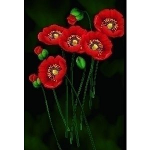 Needleart Needleart Red Poppies on Black 650.011