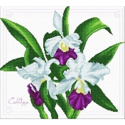 Needleart Needleart borduurpakket Bouquet of Orchids 340.009