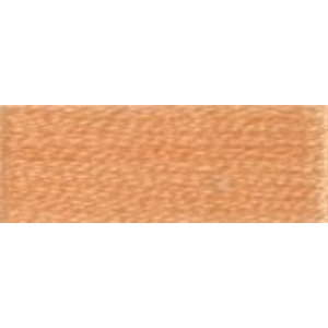 DMC DMC Mouline 3825 borduurgaren