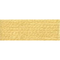 DMC Mouline 3855 borduurgaren