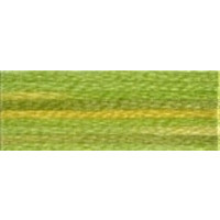 DMC Colour variations 4070 borduurgaren