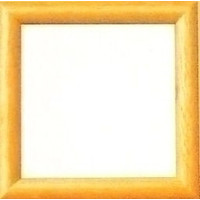 Houten lijst 8 x 8 cm 0009484