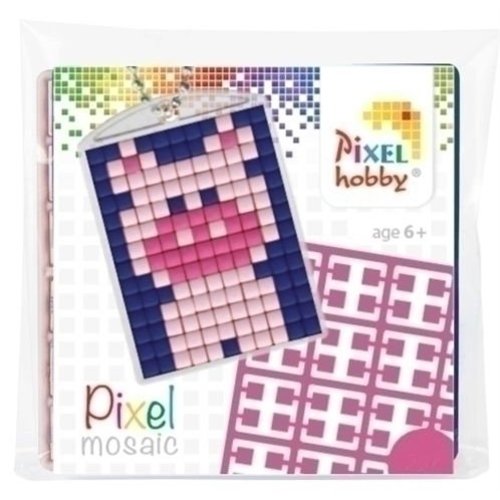 PixelHobby Pixelhobby medaillon startset Varkentje