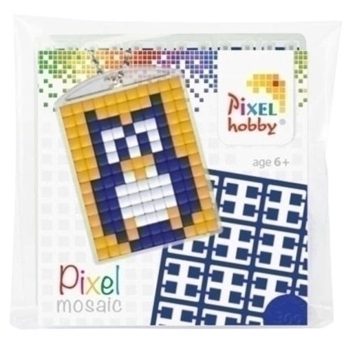 PixelHobby Pixelhobby medaillon startset Uiltje