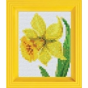 PixelHobby Pixelhobby Geschenkverpakking Narcis 31281