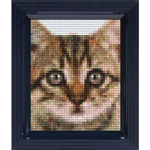 PixelHobby Pixelhobby Geschenkverpakking Kitten 31327