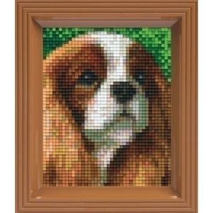 PixelHobby Pixelhobby Geschenkverpakking Cavalier King 31319