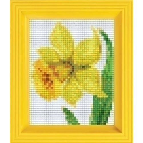 PixelHobby Pixelhobby geschenkset Narcis 31281