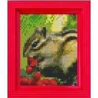 Pixelhobby Geschenkset Eekhoorn 31236