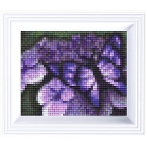 PixelHobby Pixelhobby geschenkset vlinder 31004