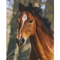 Pixelhobby Patroon 816195 Paard