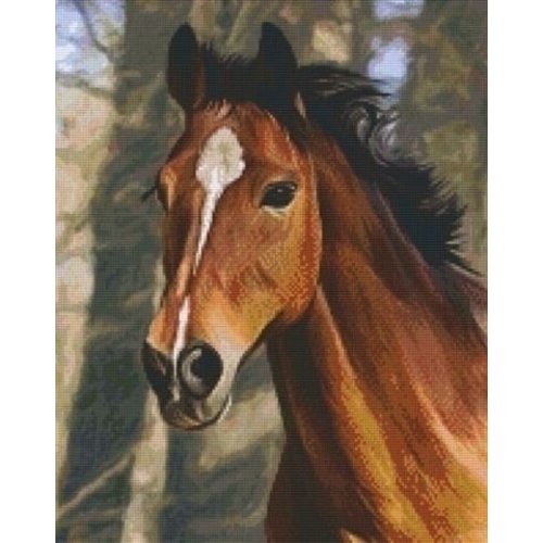 PixelHobby Pixelhobby Patroon 816195 Paard