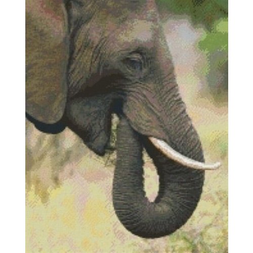 PixelHobby Pixelhobby Patroon 816185 Olifant