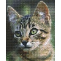 Pixelhobby patroon 804467 Katje