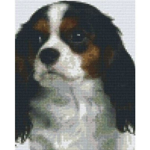 PixelHobby Pixelhobby patroon 804208 Cavalier King Charles