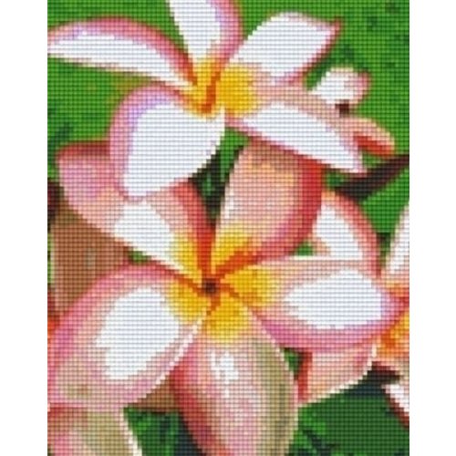 PixelHobby Pixelhobby patroon 804273 Roze Frangipani PixelHobby Pixelhobby patroon 804273 Roze Frangipani
