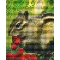 Pixelhobby patroon 801236 Eekhoorn