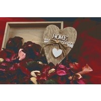 Pixelhobby patroon 5565 Home