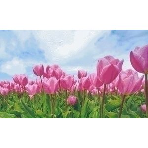 PixelHobby Pixelhobby patroon 5557 Veld met Tulpen