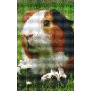 PixelHobby Pixelhobby patroon 802099 Cavia