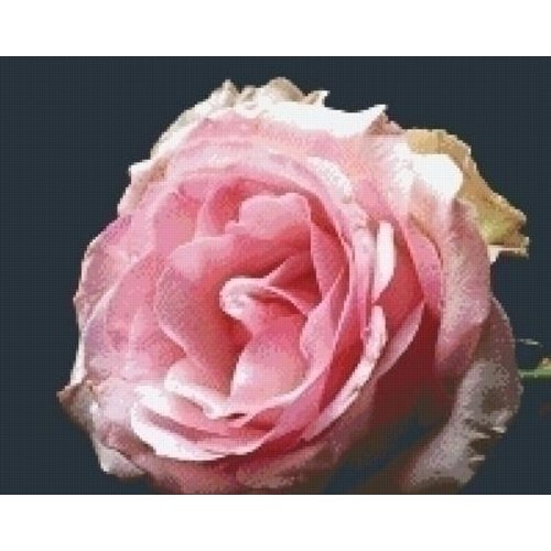 PixelHobby Pixelhobby patroon 5566 Pink Rose