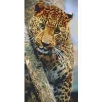 Pixelhobby patroon 824024 Panter