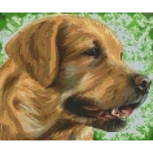 PixelHobby Pixelhobby patroon 806157 Labrador