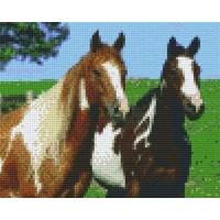 Pixelhobby patroon 804129 Twee paarden