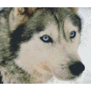PixelHobby Pixelhobby patroon 806145 Husky PixelHobby Pixelhobby patroon 806145 Husky