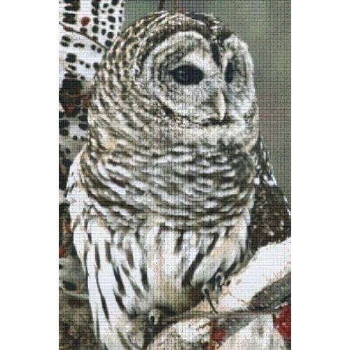 PixelHobby Pixelhobby patroon 830031 Uil PixelHobby Pixelhobby patroon 830031 Uil
