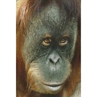 Pixelhobby patroon 830030 Orang Oetan