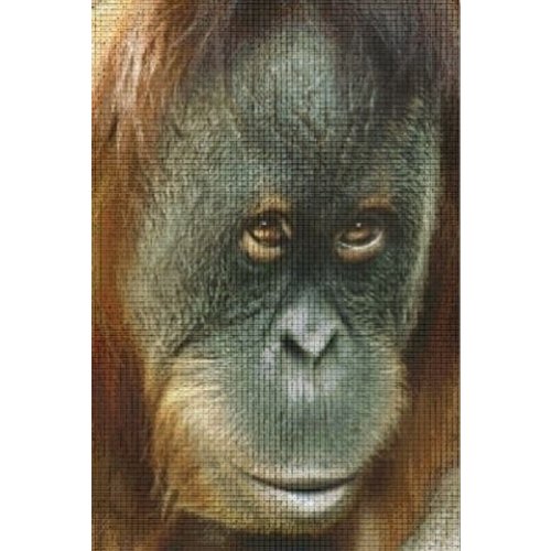 PixelHobby Pixelhobby patroon 830030 Orang Oetan PixelHobby Pixelhobby patroon 830030 Orang Oetan