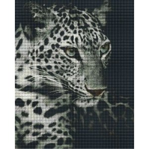 PixelHobby Pixelhobby patroon 825054 Panter Black and White PixelHobby Pixelhobby patroon 825054 Panter Black and White