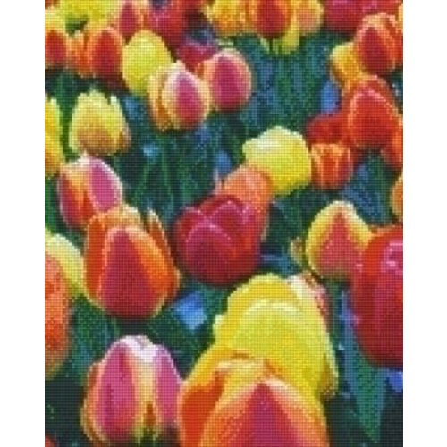 PixelHobby Pixelhobby patroon 809208 Kleurrijke tulpen