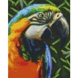 PixelHobby Pixelhobby patroon 804465 Papegaai