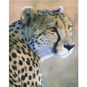 PixelHobby Pixelhobby patroon 836028 Cheeta