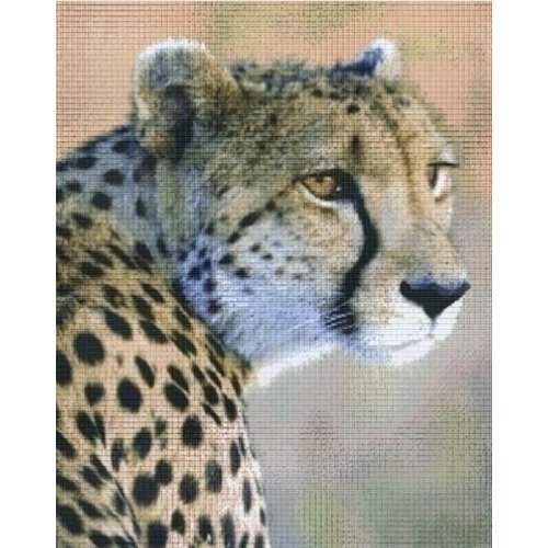 PixelHobby Pixelhobby patroon 836028 Cheeta