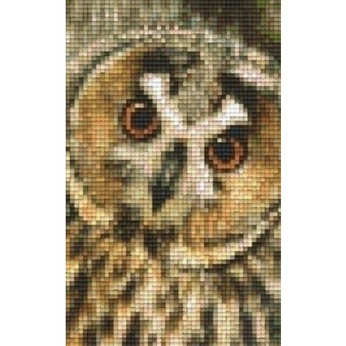 PixelHobby Pixelhobby patroon 802101 Uil