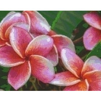 Pixelhobby patroon 809441 Roze Bloemen
