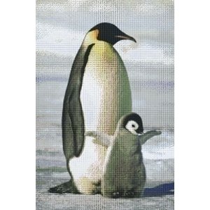 PixelHobby Pixelhobby patroon 830027 Pinguins