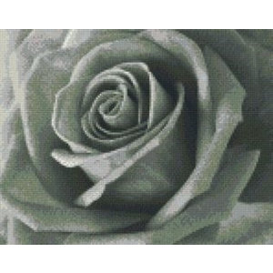 PixelHobby Pixelhobby patroon 809390 Roos in Grijstinten