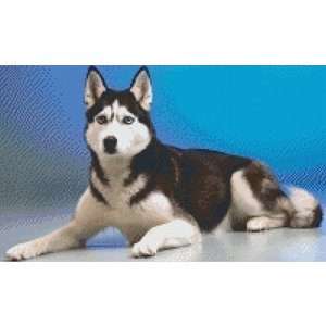 PixelHobby Pixelhobby patroon 5397 Husky