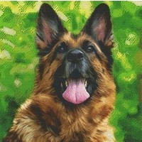 Pixelhobby patroon 820070 Herdershond