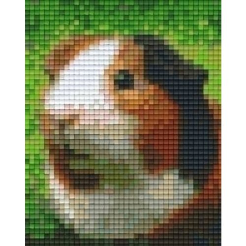 PixelHobby Pixelhobby patroon 801325 Cavia