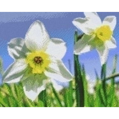 PixelHobby Pixelhobby patroon 809389 Narcissen PixelHobby Pixelhobby patroon 809389 Narcissen