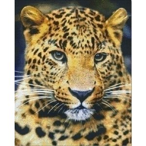 PixelHobby Pixelhobby patroon 836030 Panter close up PixelHobby Pixelhobby patroon 836030 Panter close up