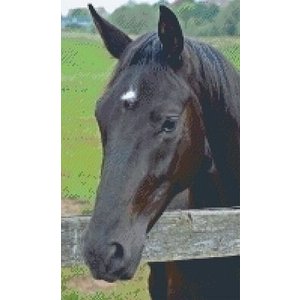 PixelHobby Pixelhobby patroon 5376 Paardenhoofd